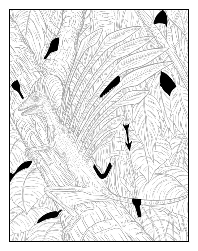 Solution preview for artwork 51