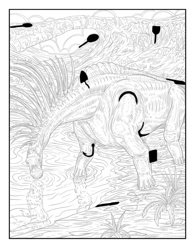 Solution preview for artwork 55